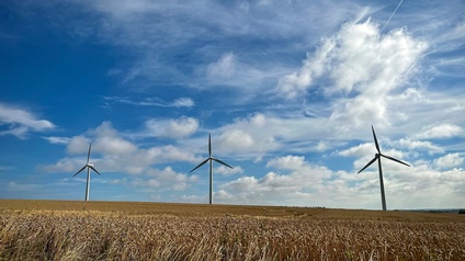Windräder in einem Feld mit blauem Himmel