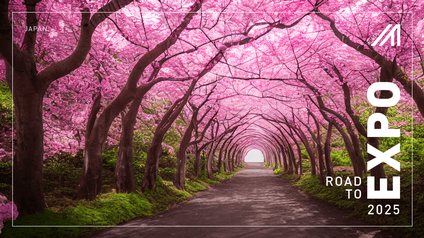 Sakura Tunnel in Japan mit blühenden Kirschbäumen, deren Baumkronen zusammengewachsen sind