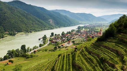 Blick aus den Weinbergen auf die Stadt Krems an der Donau