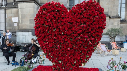blumen, rosen, herz