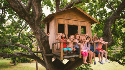 Baumhaus in einem großen Baum, darauf sieben Kinder