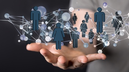 vegefox.com - stock.adobe.com