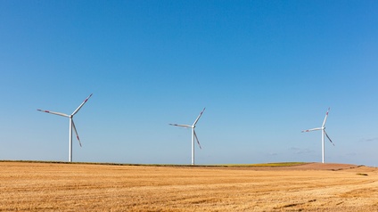 Feld mit Windrädern unter blauem Himmel