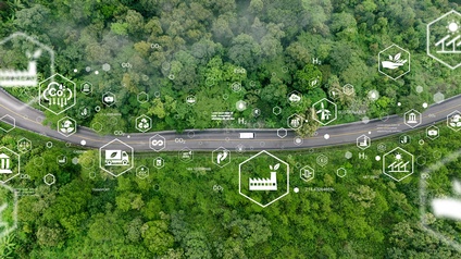 Luftansicht einer Straße in einem Wald, auf dem ein Auto fährt