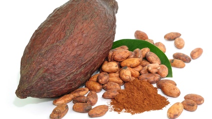 Eine braune Kakaofrucht, behandelte Kakaobohnen und Kakaopulver liegen dicht nebeneinander auf weißem Hintergrund. Die Kakaobohnen liegen zerstreut darum herum.