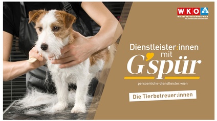 Hund wird gebürstet - Slogan der Imagekampagne Dienstleister:innen mit G'spür
