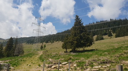 Almenlandschaft auf der Koralm