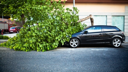 Seitliche Aufnahme eines auf einer asphaltierten Straße stehenden Hauses. Direkt rechts neben dem Auto ist ein umgeknickter Baumstamm. Direkt vor dem Auto liegt die Krone des Baums mit grünen Blättern. Hinter dem Auto ist die Fassade eines Hauses