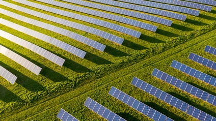 Grünes Feld mit zahlreichen Reihen mit Solarpanelen in Vogelpersperktive