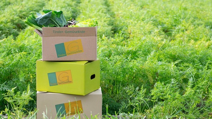 Gemüsekiste