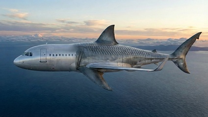 Ein Flugzeug in der Luft, das in der Mitte in einen Haifisch übergeht. Es ist nur ein Symbolbild, tatsächlich sind die Riplets nicht wirklich sichtbar