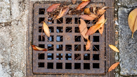 Ein von Herbstlaub bedeckter Kanaldeckel aus Gusseisen