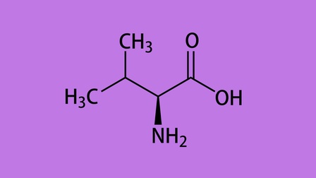 Säurenstruktur von Valin