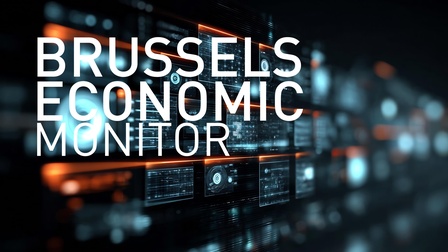Brussels Economic Monitor