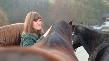 Eine Frau mit drei braunen Pferden.