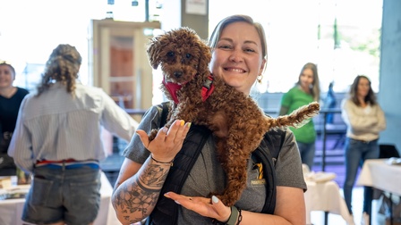 Frau hält braunen Zwergpudel am Arm