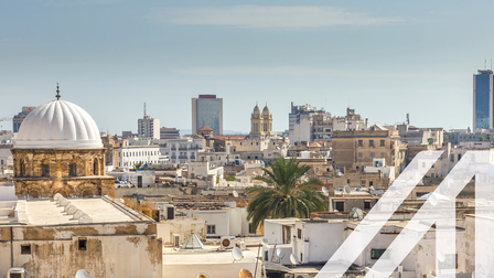 Stadtansicht von Tunis: Blick über die Dächer der weißen Häuser von Tunis, darunter eine weiße Rundkuppel, Türme und Wolkenkratzer in der Ferne unter grau-blauem Himmel. Über das Bild wurde ein weißes Austria A gelegt.