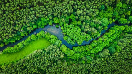 Vogelperspektive eine Laubwaldes durchbrochen von einem Fluss