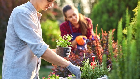 Personen sind in einem Garten und pflegen Pflanzen, Eine sortiert Zierpflanzen in einer Holzkiste, die andere schneidet ein Gebüsch. Der Hintergrund ist verschwommen, dennoch ist die Kulisse eines Gartens in Grüntönen erkennbar.