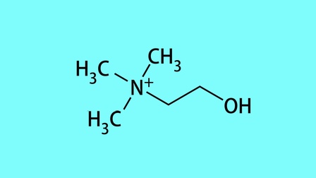 Chemische Struktur von Cholin auf türkisem Hintergrund