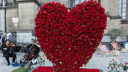 blumen, rosen, herz