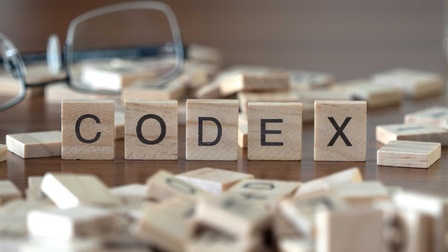 kleine Holzklötzchen mit je einem Buchstaben aufgedruckt, die zusammen das Wort Codex ergeben