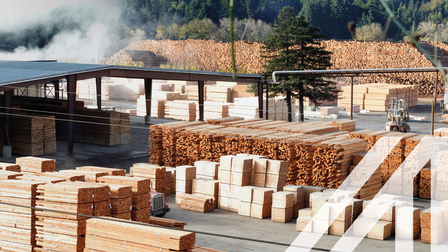 Sägewerk mit gestapelten Baumstämmen, Kanthölzern und anderen geschnittenen Holzprodukten