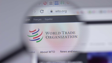 Zoom-in auf das Logo der WTO auf deren Homepage