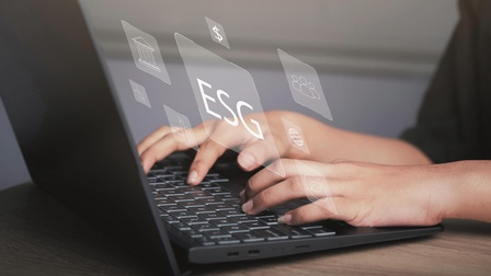 The KonG - stock.adobe.com