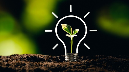 proxima studio | stock.adobe.com