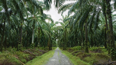 WarnaDunia / Adobe Stock