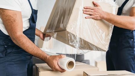 Lightfield Studios - stock.adobe.com