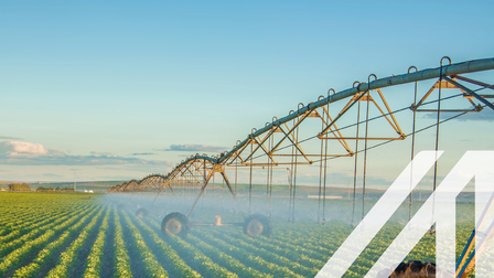 Mobile Bewässerungsanlage auf einem Kartoffelfeld