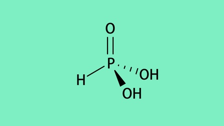 Chemische Struktur von Phosphorigsäure