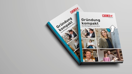Stapel Publikationen Gründung Kompakt