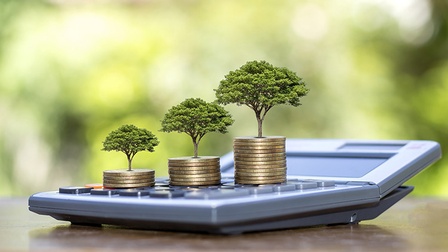 Drei kleine Bäume aus Münztürmchen erwachsend auf Taschenrechner platziert