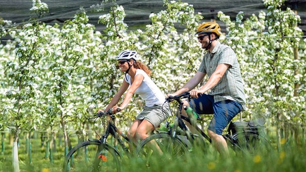 Radfahrer in der Apfelregion unterwegs
