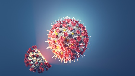 Illustration zwei Corona-Viren auf blauem Hintergrund