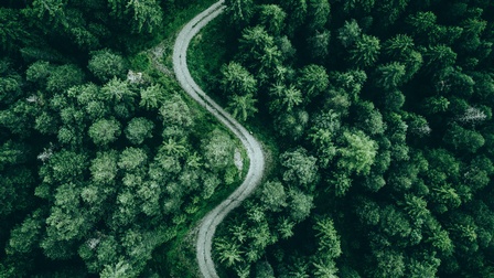 Luftaufnahme eines Waldes mit Nadelbäumen, durch den ein kurviger, schmaler Weg schlängelt. Der Weg ist hell und hebt sich vom Grün der Bäume ab