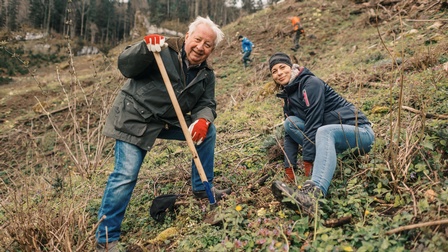 Zwei Personen pflanzen einen Baum.