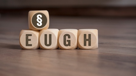 Vier Holzwürfel nebeneinander platziert mit den Buchstaben EUGH, darauf liegend weiterer Holzwürfel mit Paragrafensymbol