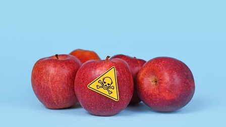 Rote Äpfel neben -und hintereinander positioniert vor hellblauem Hintergrund, ein Apfel trägt dreieckigen gelben Sticker mit Totenkopfzeichen