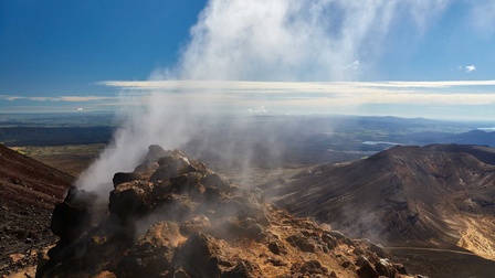 Ein Geysir in Neuseeland