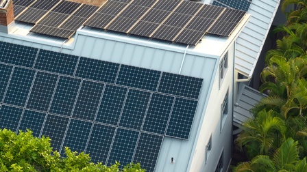 Hausdächer mit Solarpanelen in Vogelperspektive umgeben von Pflanzen