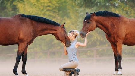 Hockende Person küsst vor ihr stehendes Pferd auf Nasenrücken und hält Hand auf Kinn eines Pferdes, das hinter ihr steht
