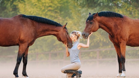 Hockende Person küsst vor ihr stehendes Pferd auf Nasenrücken und hält Hand auf Kinn eines Pferdes, das hinter ihr steht<br />
