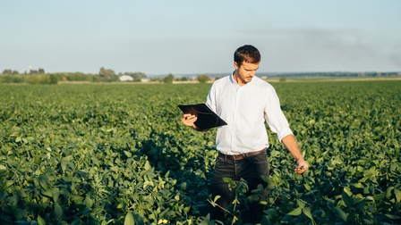 Frontale Aufnahme einer Person, die in einem Feld mit grünen Pflanzen mit Blättern steht und auf ein Blatt blickt. In der rechten Hand hält die Person ein Tablet