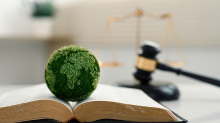 Begraste Weltkugel liegt auf aufgeschlagenem Buch, im Hintergrund verschwommen Richterhammer und goldene Waage