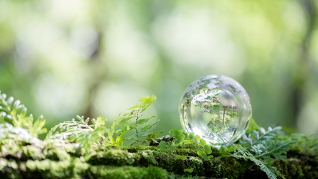 Erdkugel aus Glas liegt auf Moos und Farnen, Hintergrund grün verschwommen