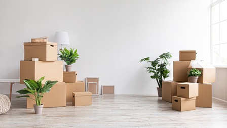 Umzugskisten und Boxen inkl. Grünpflanzen stehen in einem leeren Wohnraum mit heller Fensterfront